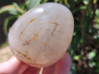 Polished Dendritic Agate Standing Free Forms x 6 From Madagascar