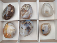 Polished Dendritic Agate Standing Free Forms x 6 From Madagascar