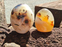 Polished Dendritic Agate Standing Free Forms x 6 From Madagascar