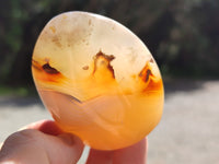 Polished Dendritic Agate Standing Free Forms x 6 From Madagascar