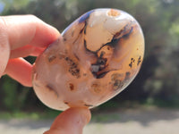 Polished Dendritic Agate Standing Free Forms x 6 From Madagascar