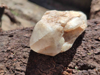 Natural Pineapple Candle Quartz Crystals x 35 From Antsirabe, Madagascar