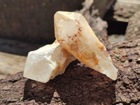 Natural Pineapple Candle Quartz Crystals x 35 From Antsirabe, Madagascar