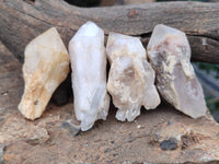 Natural Pineapple Candle Quartz Crystals x 35 From Antsirabe, Madagascar