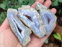 Polished On One Side Blue Lace Agate x 12 From Malawi