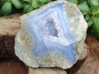 Polished On One Side Blue Lace Agate x 12 From Malawi