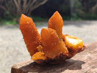 Natural Golden Solar Spirit Quartz Clusters x 6 From Boekenhouthoek, South Africa