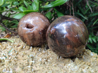 Polished Petrified Wood Spheres x 3 From Gokwe, Zimbabwe