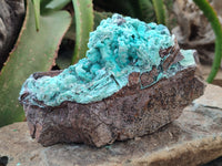 Natural Drusy Coated Chrysocolla Specimen x 1 From Congo