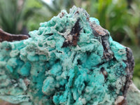 Natural Drusy Coated Chrysocolla Specimen x 1 From Congo