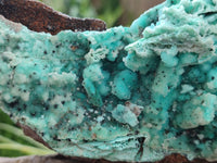 Natural Drusy Coated Chrysocolla Specimen x 1 From Congo