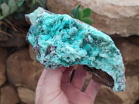 Natural Drusy Coated Chrysocolla Specimen x 1 From Congo