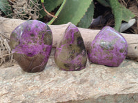 Polished Stichtite Standing Free Forms x 3 From Barberton, South Africa