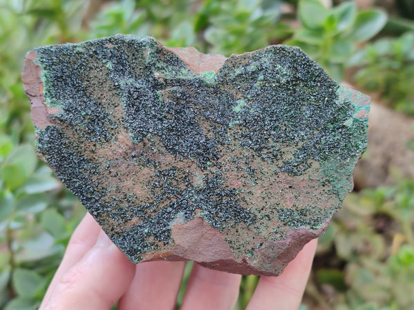 Natural Libethenite Crystals On Dolomite Matrix Specimens x 3 From Shituru, Congo