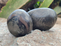 Polished Rare Pharaoh Stone Pyrite in Basalt Free Forms x 3 Iron Duke Mine, Zimbabwe