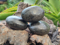 Polished Rare Pharaoh Stone Pyrite in Basalt Free Forms x 3 Iron Duke Mine, Zimbabwe