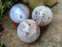 Polished Agate Spheres x 6 From Madagascar