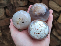 Polished Agate Spheres x 6 From Madagascar