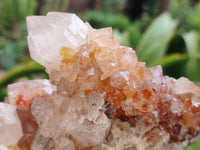 Natural Amethyst Spirit Quartz Clusters x 3 From Boekenhouthoek, South Africa