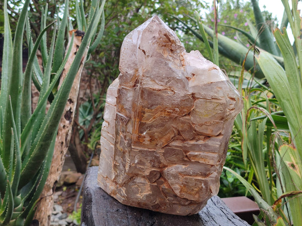 Polished Smokey Cascading Window Quartz Crystal x 1 From Madagascar