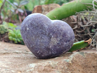 Polished Lepidolite with Pink Rubellite Hearts x 6 Ambatondrazaka, Madagascar