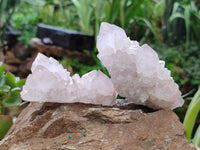 Natural Amethyst Spirit Quartz Clusters x 6 From Boekenhouthoek, South Africa