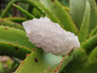 Natural Amethyst Spirit Quartz Clusters x 6 From Boekenhouthoek, South Africa