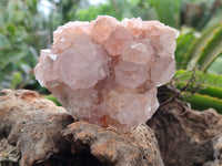 Natural Amethyst Spirit Quartz Clusters x 6 From Boekenhouthoek, South Africa