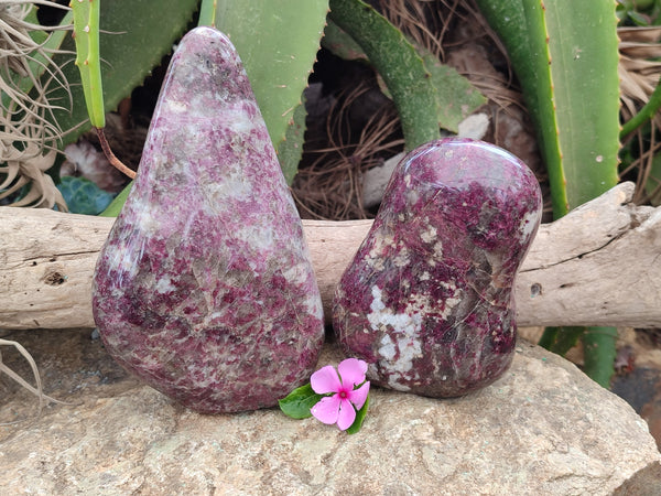 Polished Rubellite Pink Tourmaline Standing Free Forms x 2 From Madagascar