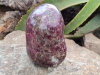 Polished Rubellite Pink Tourmaline Standing Free Forms x 2 From Madagascar