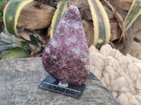 Polished Rubellite Pink Tourmaline Standing Free Forms x 2 From Madagascar