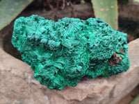 Natural Silky Malachite Specimens x 2 From Kasompe, Congo