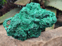 Natural Silky Malachite Specimens x 2 From Kasompe, Congo