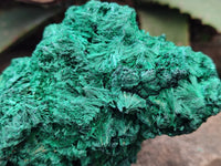 Natural Silky Malachite Specimens x 2 From Kasompe, Congo