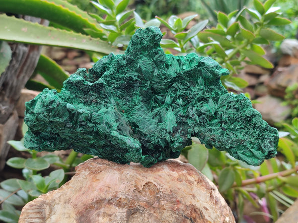 Natural Silky Malachite Specimens x 2 From Kasompe, Congo