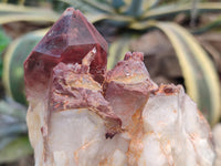 Natural Red Hematoid Quartz Clusters x 2 From Karoi, Zimbabwe