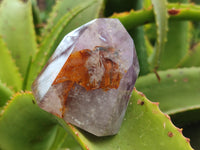 Polished Smokey Amethyst Window Quartz Crystals x 6 From Akansobe, Madagascar