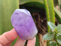 Polished Smokey Amethyst Window Quartz Crystals x 6 From Akansobe, Madagascar