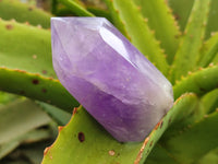 Polished Smokey Amethyst Window Quartz Crystals x 6 From Akansobe, Madagascar