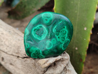 Polished Flower Banded Malachite Free Forms x 15 From Congo