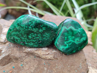 Polished Flower Banded Malachite Free Forms x 15 From Congo