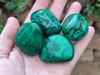 Polished Flower Banded Malachite Free Forms x 15 From Congo