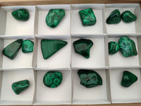 Polished Flower Banded Malachite Free Forms x 15 From Congo