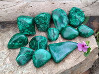 Polished Flower Banded Malachite Free Forms x 15 From Congo