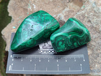 Polished Flower Banded Malachite Free Forms x 15 From Congo