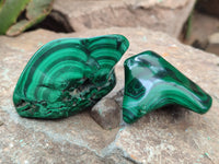 Polished Flower Banded Malachite Free Forms x 15 From Congo