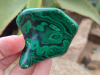 Polished Flower Banded Malachite Free Forms x 15 From Congo