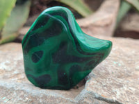 Polished Flower Banded Malachite Free Forms x 15 From Congo