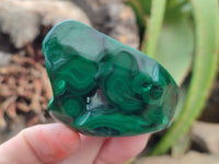 Polished Flower Banded Malachite Free Forms x 15 From Congo