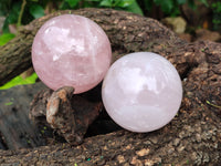 Polished Rose Quartz Spheres x 3 From Ambatondrazaka, Madagascar